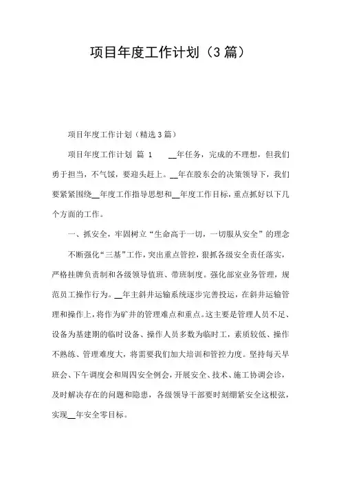 项目年度工作计划(3篇)