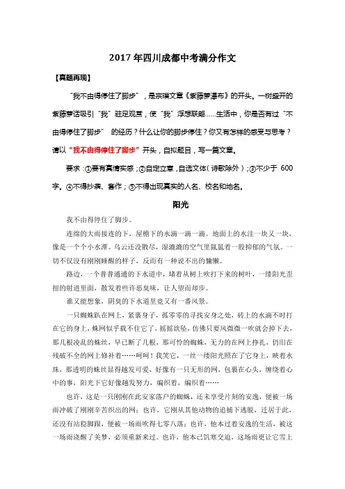 2017年四川成都中考满分作文《阳光》