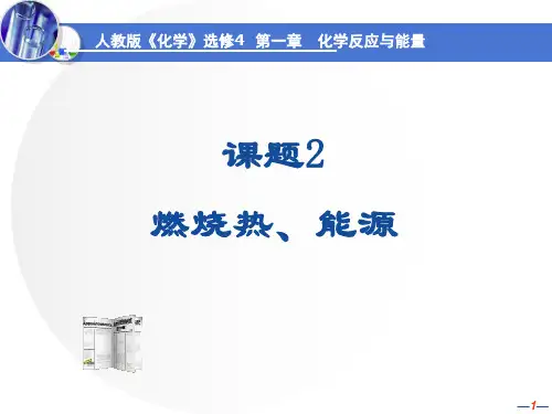 人教版高中化学选修四第一章第二节燃烧热能源课件