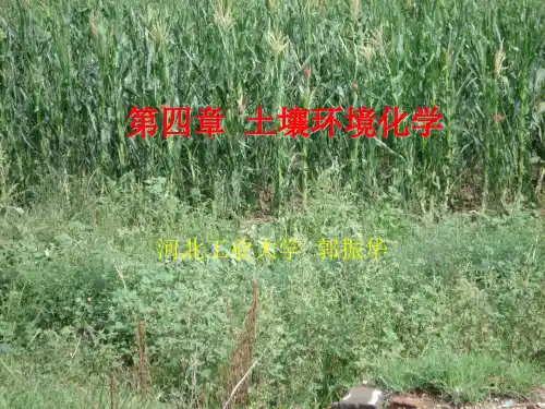 第四章 土壤环境化学
