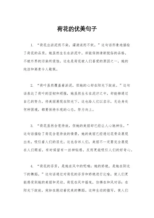 荷花的优美句子