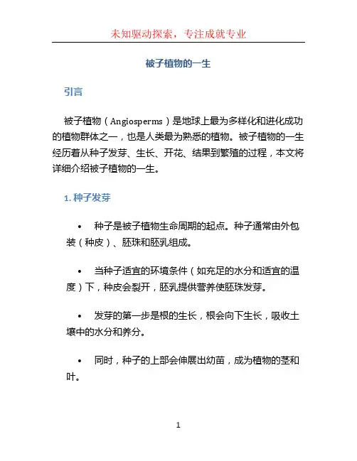 被子植物的一生