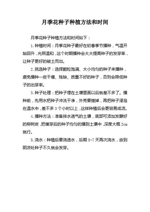 月季花种子种植方法和时间