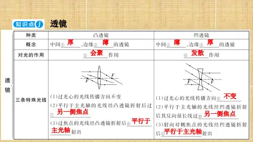 中考物理复习  透镜及其应用