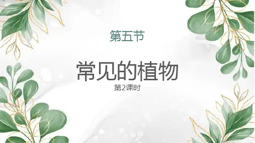 浙教版七年级上册科学《常见的植物》PPT教学课件(第2课时)