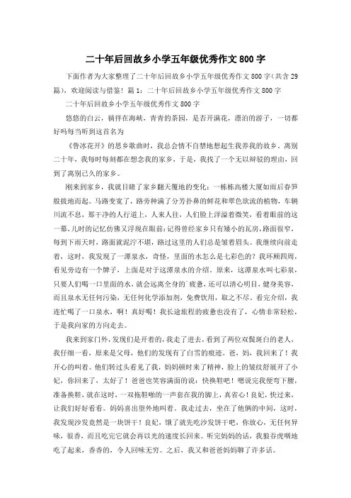 二十年后回故乡小学五年级优秀作文800字