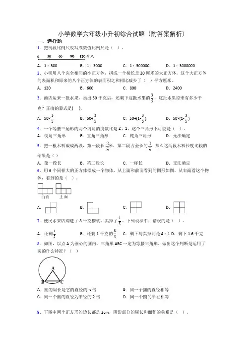 小学数学六年级小升初综合试题(附答案解析)