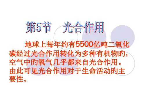 光合作用第课时浙教版省名师优质课赛课获奖课件市赛课一等奖课件