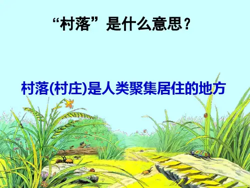 草丛的村落