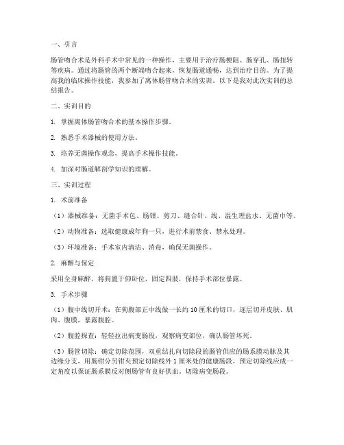 离体肠管吻合术实训报告