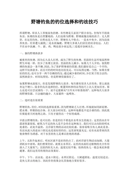 野塘钓鱼的钓位选择和钓法技巧