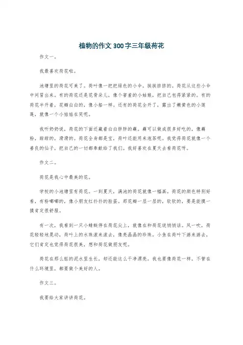 植物的作文300字三年级荷花
