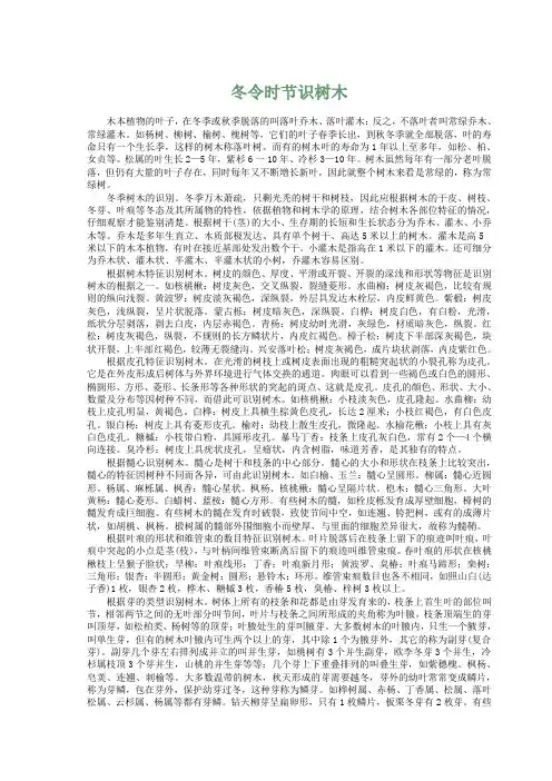 冬令时节识树木