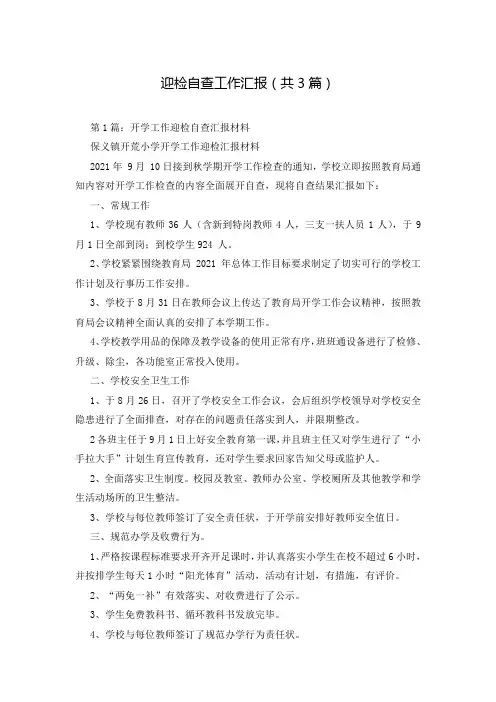 迎检自查工作汇报(共3篇)