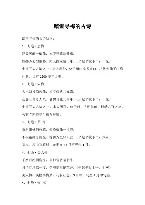 踏雪寻梅的古诗