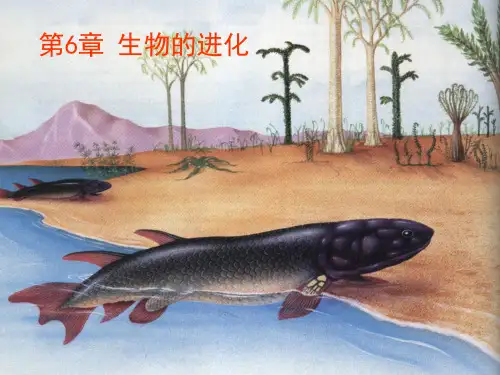 第6章生物的进化ppt课件