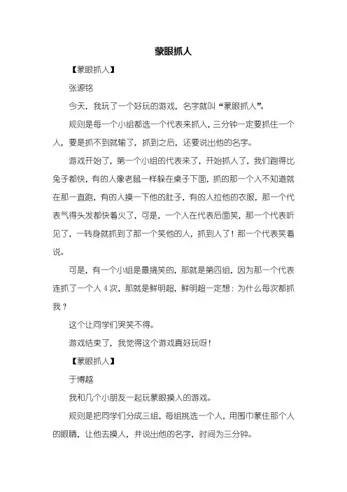 二年级作文：蒙眼抓人作文300字