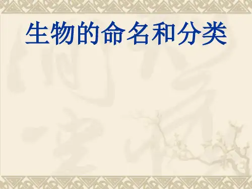 苏科版七下生物 1 生物的命名和分类 课件(1)