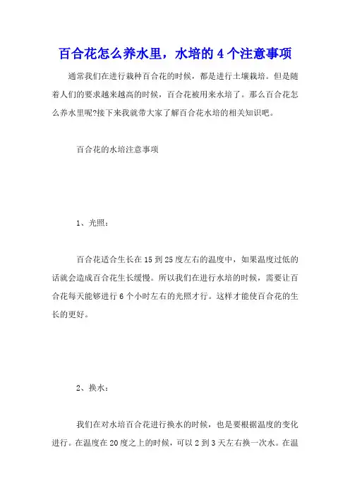 百合花怎么养水里,水培的4个注意事项