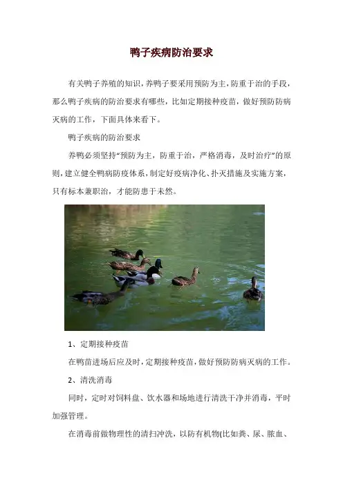 鸭子疾病防治要求