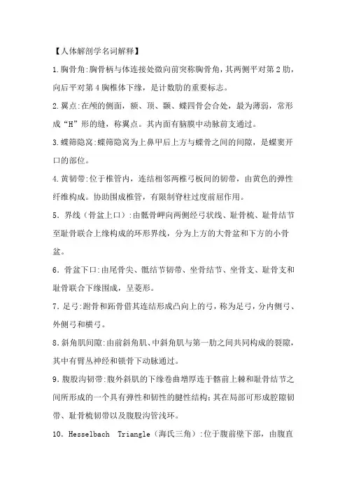 人体解剖学名词解释