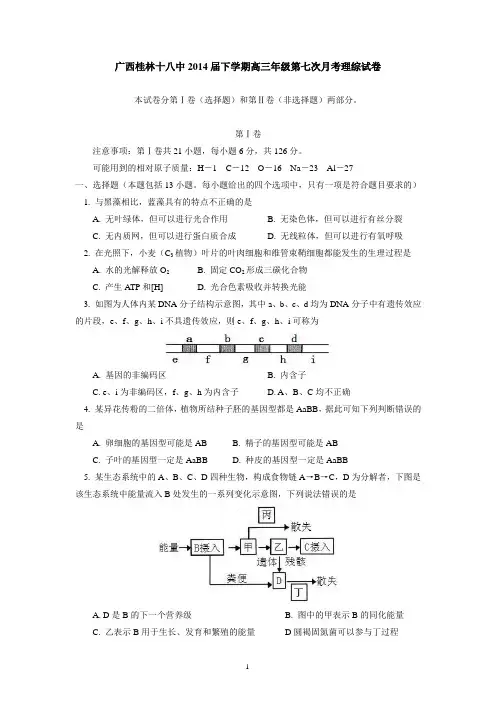 广西桂林十八中2014届下学期高三年级第七次月考理综试卷