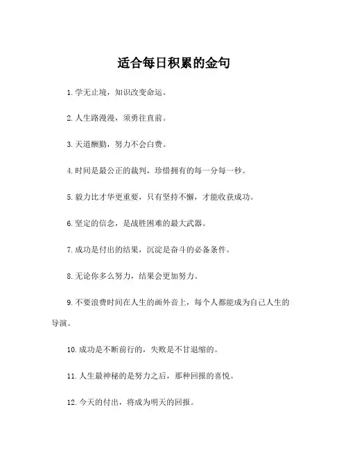 适合每日积累的金句