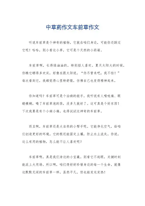 中草药作文车前草作文