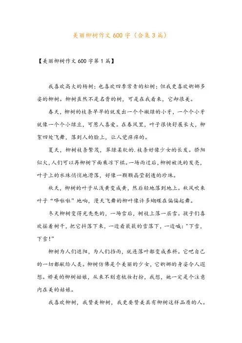美丽柳树作文600字(合集3篇)