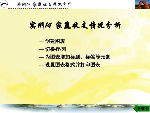 实例14  家庭收支情况分析