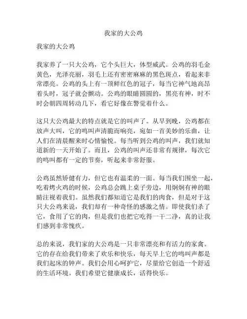 我家的大公鸡
