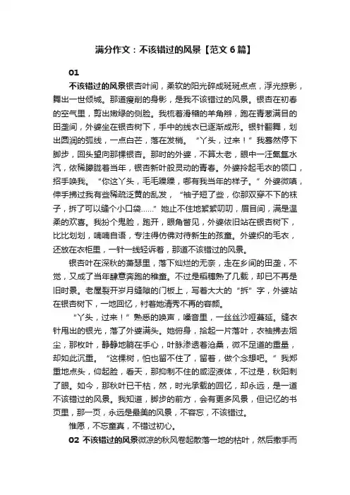 满分作文：不该错过的风景【范文6篇】