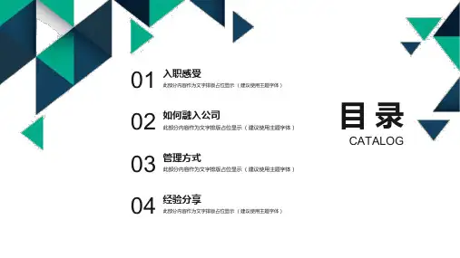 工作经验分享ppt模板课件