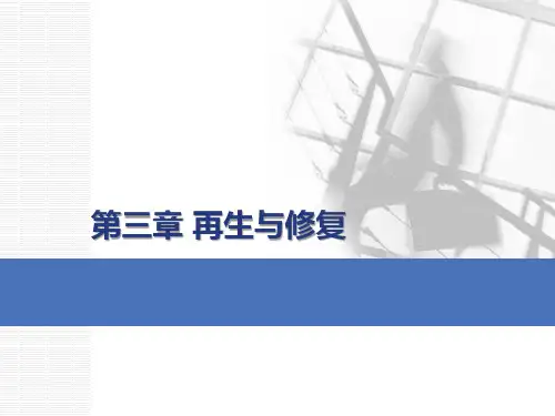 损伤的修复  第三章 病理学