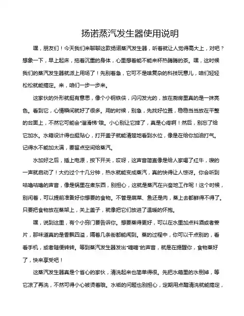 扬诺蒸汽发生器使用说明