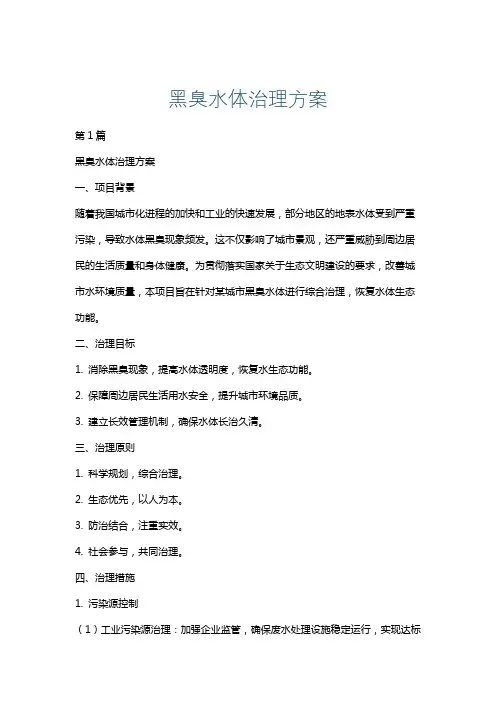 黑臭水体治理方案
