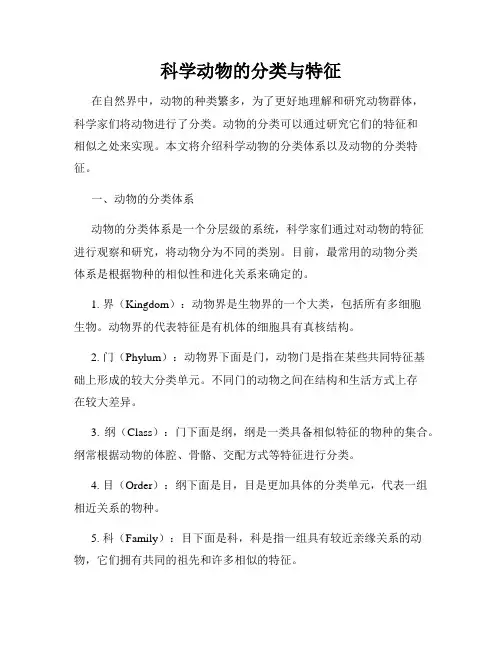 科学动物的分类与特征