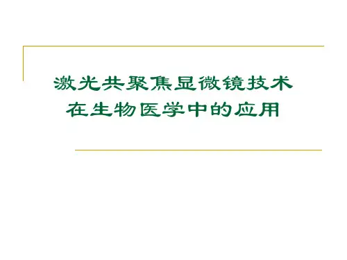 激光共聚焦显微镜技术