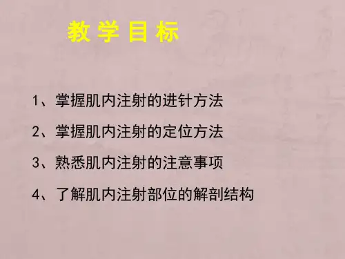肌肉注射课件