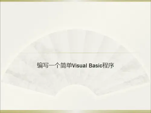 编一个简单的VB程序