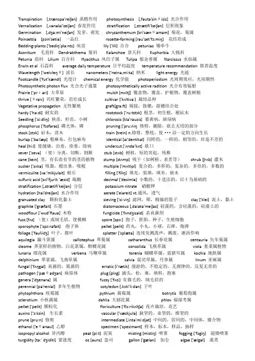 英语单词