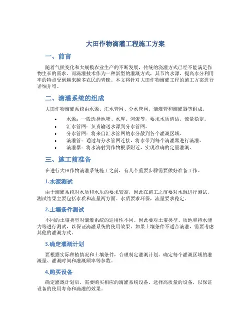 大田作物滴灌工程施工方案