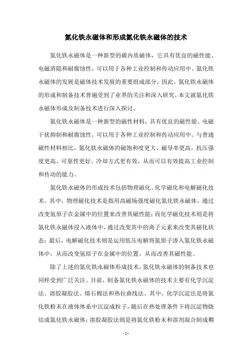 氮化铁永磁体和形成氮化铁永磁体的技术
