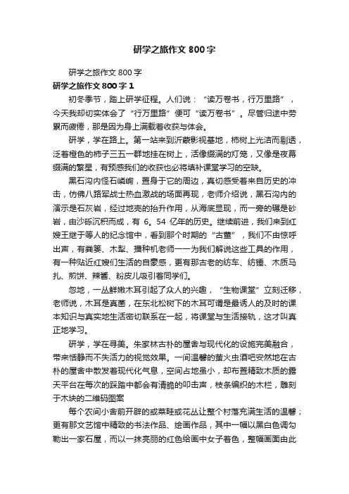 研学之旅作文800字