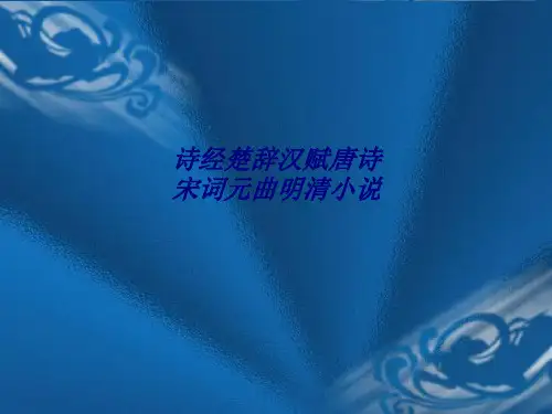 诗经楚辞汉赋唐诗宋词元曲明清小说专题培训课件