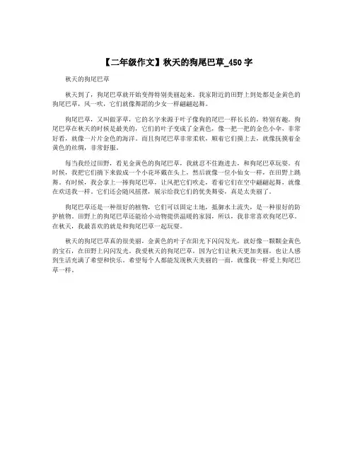 【二年级作文】秋天的狗尾巴草_450字