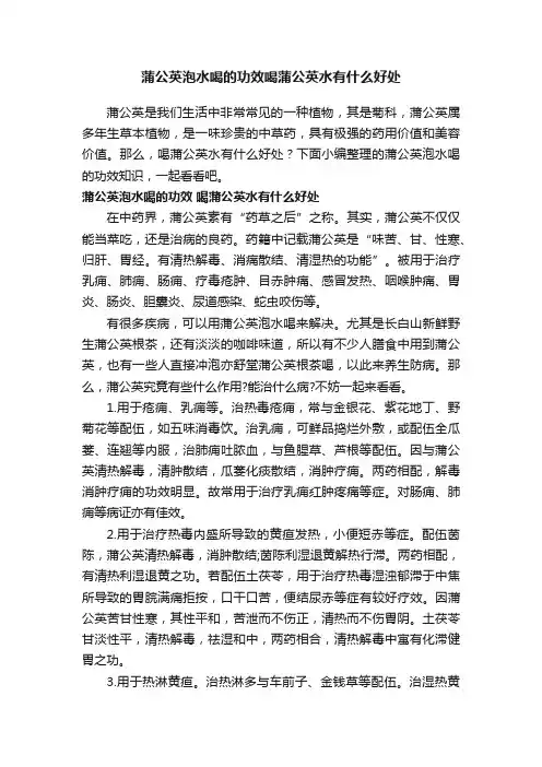 蒲公英泡水喝的功效喝蒲公英水有什么好处