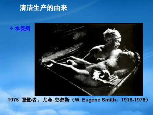 从清洁生产到循环经济