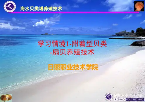 第1节扇贝的生物学(一)(精)