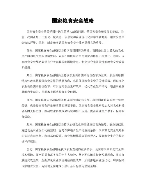 国家粮食安全战略